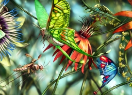 莎莎Invertebraxa昆虫和植物插画-伦敦Mozchops插画师