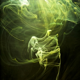 Demersal-烟雾状海洋生物摄影-塞尔维亚Luka Klikovac摄影师作品