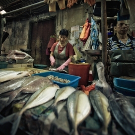 马来西亚吉隆坡唐人街集市鱼肉菜市场人像-荷兰阿姆斯特丹Ron Gessel摄影师作品
