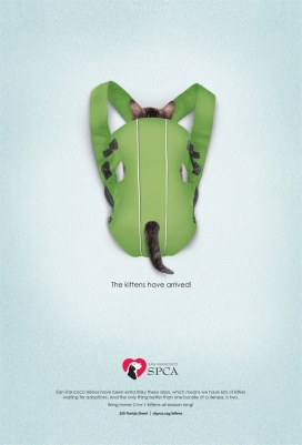 旧金山香港爱护动物协会平面广告