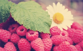 高清晰嫩粉红的草莓水果