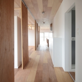 地板和天花板都覆盖在这小小的东京公寓上-日本建筑师TANK建筑师作品House D