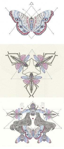 昆虫标本插画-泰国曼谷插画师PAVISA MEESEENON作品