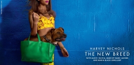 Harvey Nichols百货公司包包平面广告