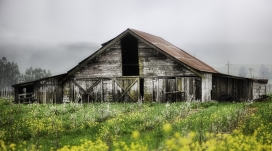 旧谷仓-绿色环境中的木屋