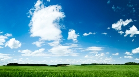 绿色的田野与蓝色的蓝天白云