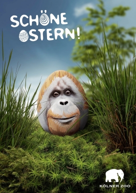 复活节快乐-Cologn科隆动物园平面广告
