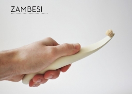 Zambesi-现代技术结合传统自然的电动牙刷