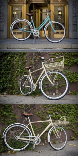 加里费舍尔-简单的城市自行车
