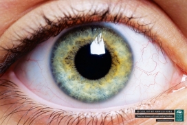定期体检，预防眼疾-Hospital de Olhos do Paraná平面广告