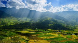 越南漂亮绿色梯田风景