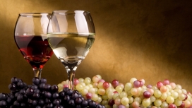 葡萄酒与葡萄