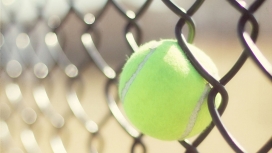 卡在铁丝网中的绿色网球