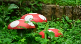 花园蘑菇装饰
