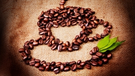 咖啡种子拼图杯