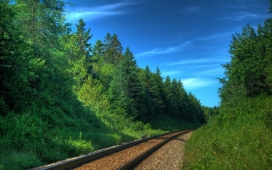 阳光明媚下的森林铁路公路