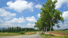 日本北海道乡间小路