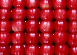 红苹果堆壁纸