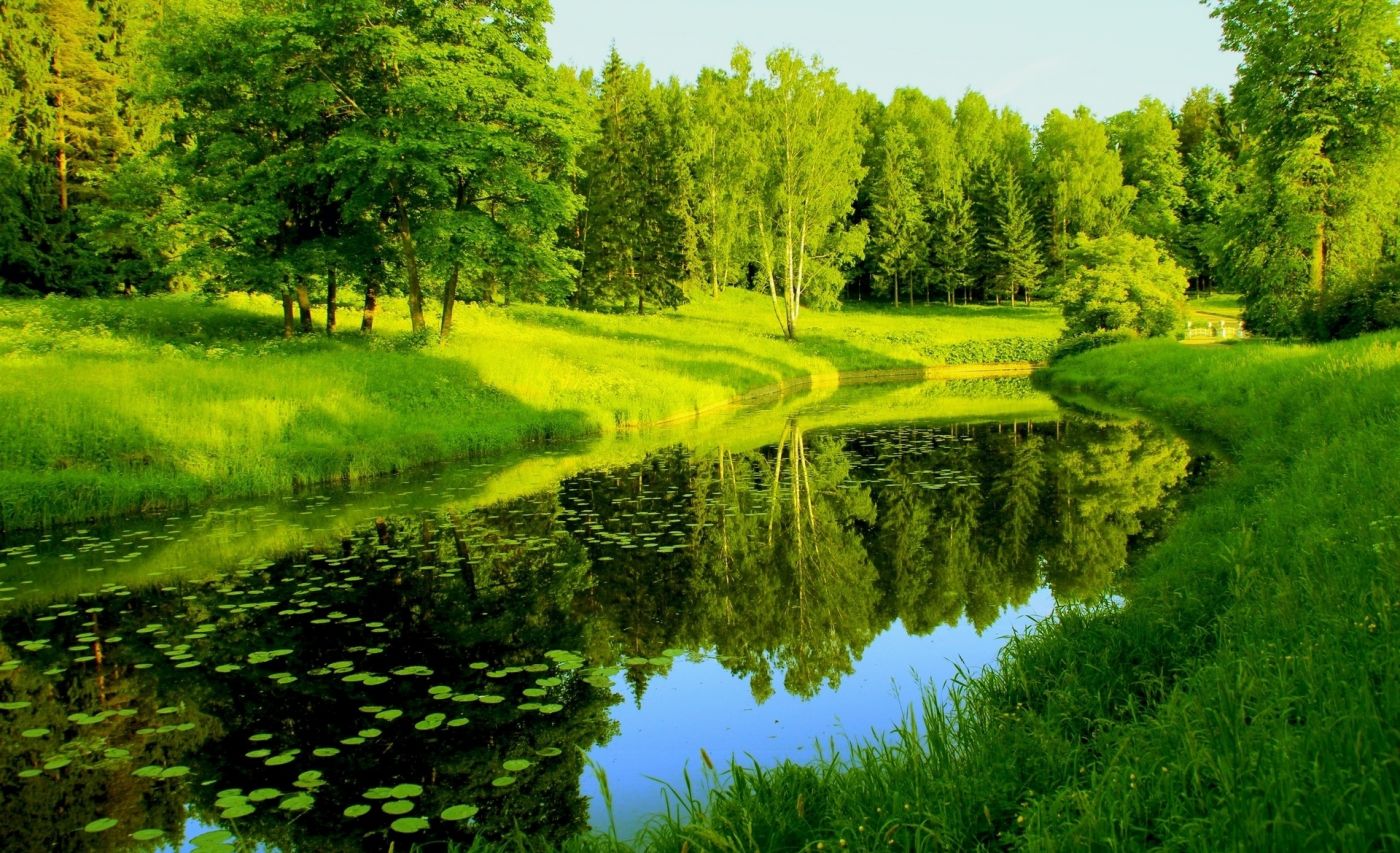 微信壁纸可爱自然风景图片