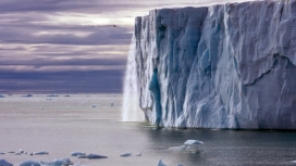 冰紫冠-壮丽的冰山
