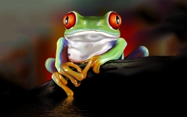 漂亮的有毒青蛙