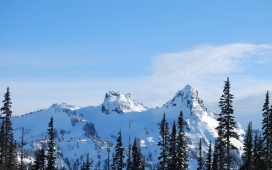 天空山树雪