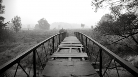 黑白色桥风景