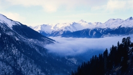 雪雾森林山