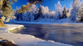 雪树冰冻的河流