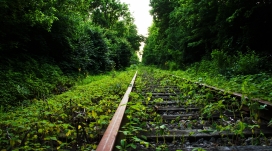 荒废的绿色铁路
