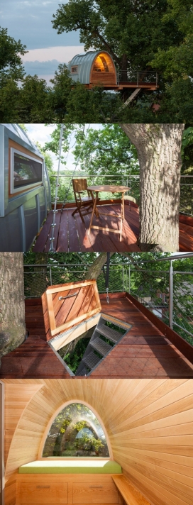 一个现代树屋-建在一棵橡树上的小家，树屋坐落在离地面11米的树上