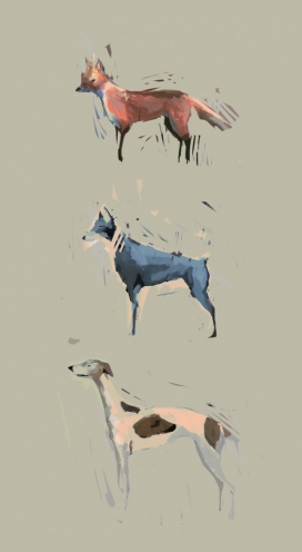 Dog Illustrations-犬类动物插画