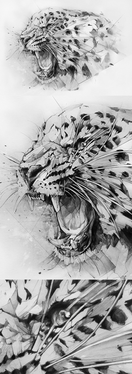 DERWENT-水溶性铅笔素描豹插画