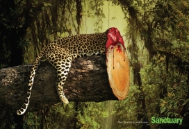 Sanctuary印度自然保护区公益广告