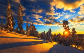高清晰黄昏下的冬季雪景壁纸下载