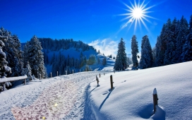 高清晰冬季雪景日出壁纸下载