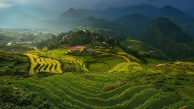 高清晰越南水稻梯田壁纸