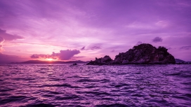 鹈鹕岛的紫色日落