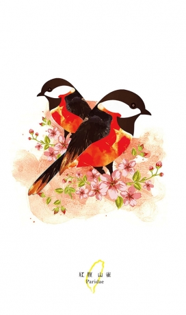 台湾鸟插画