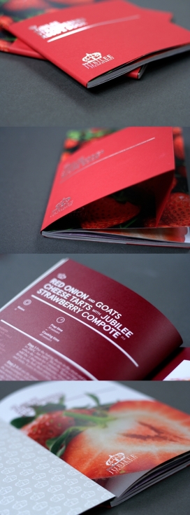 德里斯科尔禧-草莓食谱书宣传册设计
