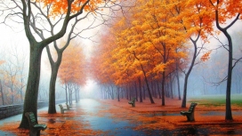 精彩的橙色秋园长凳壁纸