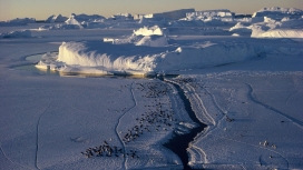 南极洲结冰的湖