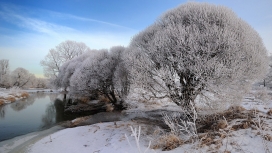 蓝天下的冬季雪域树河