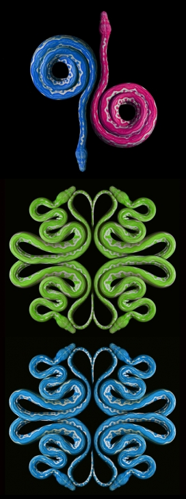Serpentes-蛇艺图案组合