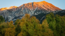 雪山森林壁纸