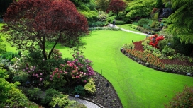 高清晰绿色美丽花园草坪壁纸