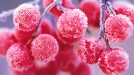 冰冻红色水果