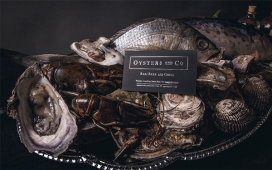 Oysters & Co.牡蛎公司品牌设计-让人联想到欧洲文艺复兴时期的静物，此次设计涵盖了艺术指导，摄影，品牌设计，包装和网页