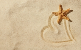 沙滩上的海星珍珠贝壳