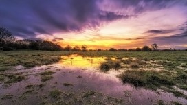 日落下的沼泽地